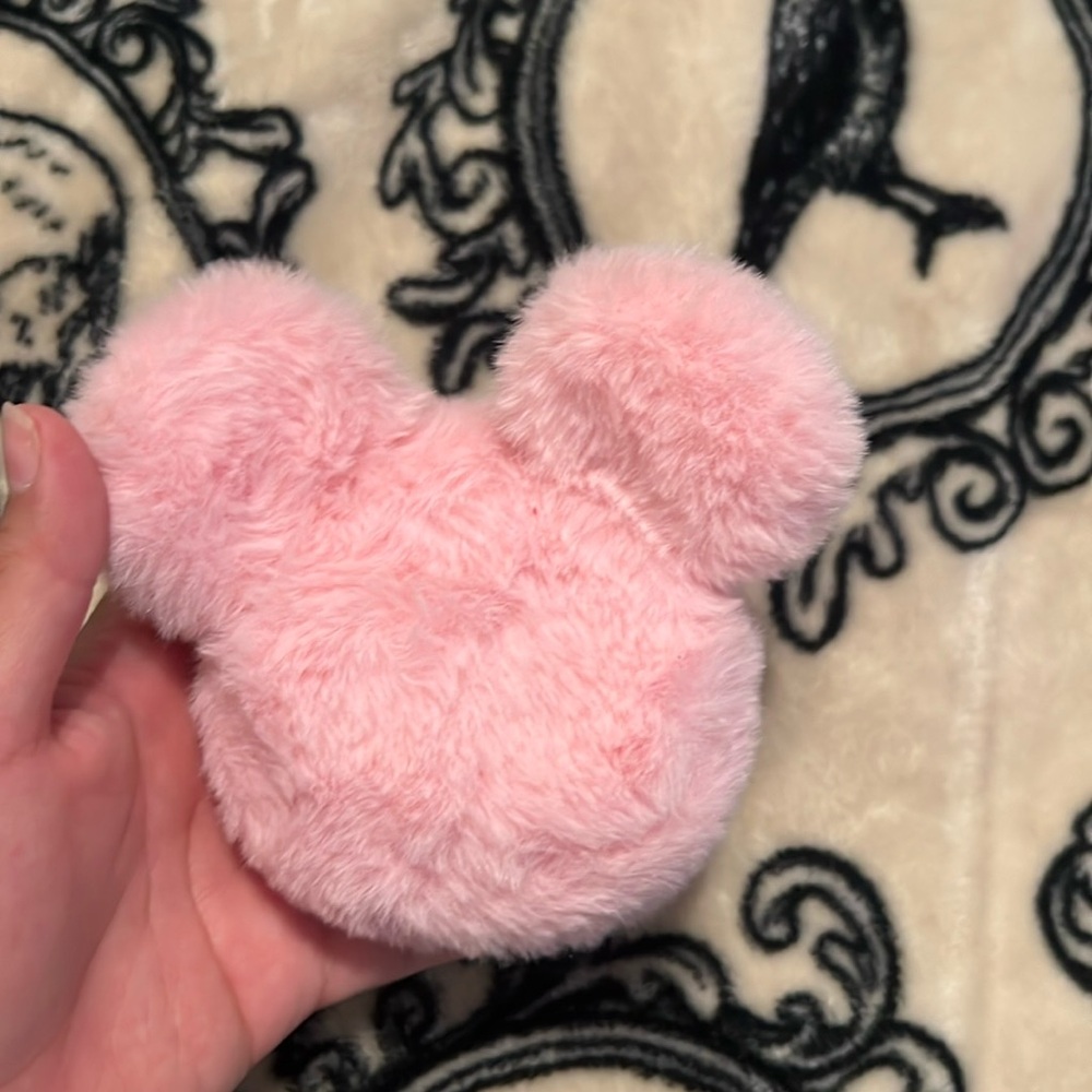 Key chain purse